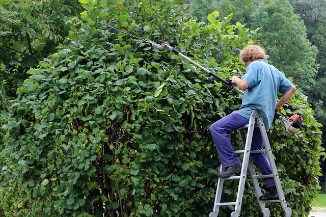 3 tips voor het onderhouden van je tuin