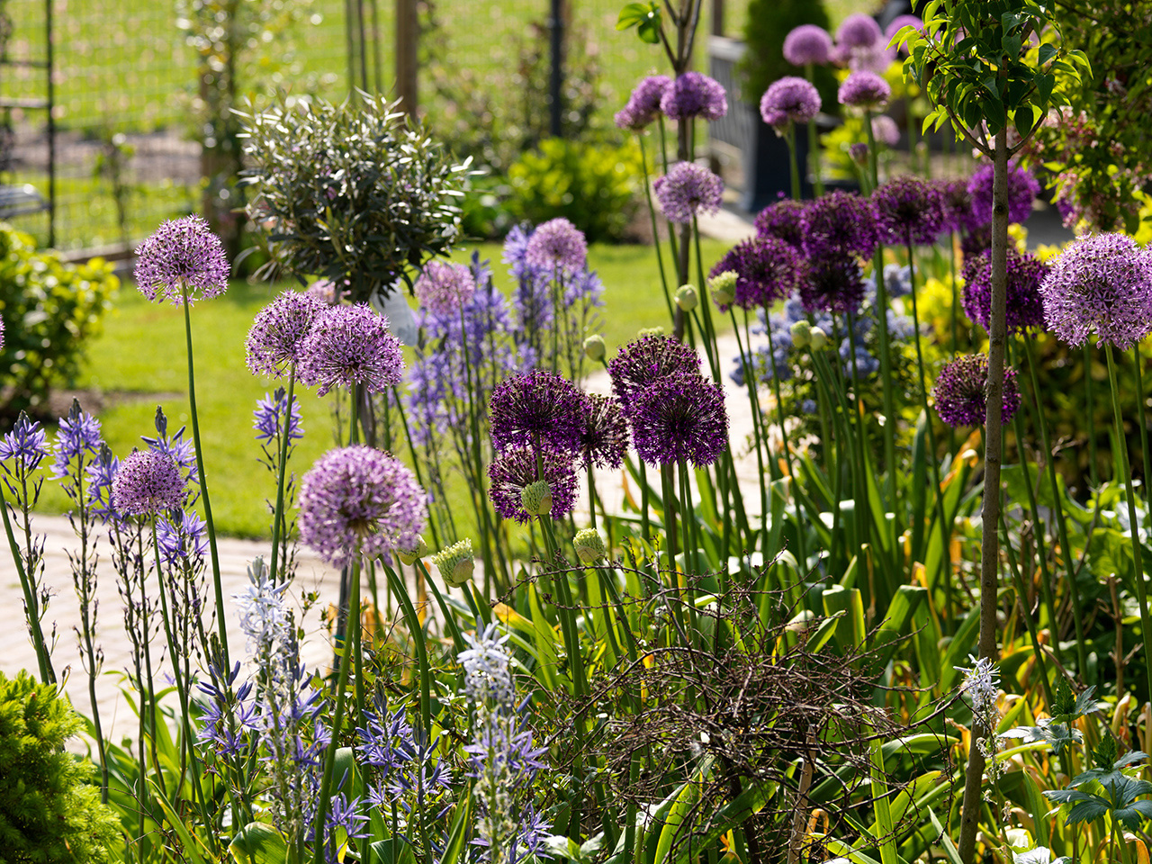 Je tuin verbouwen: zo pak je dat aan