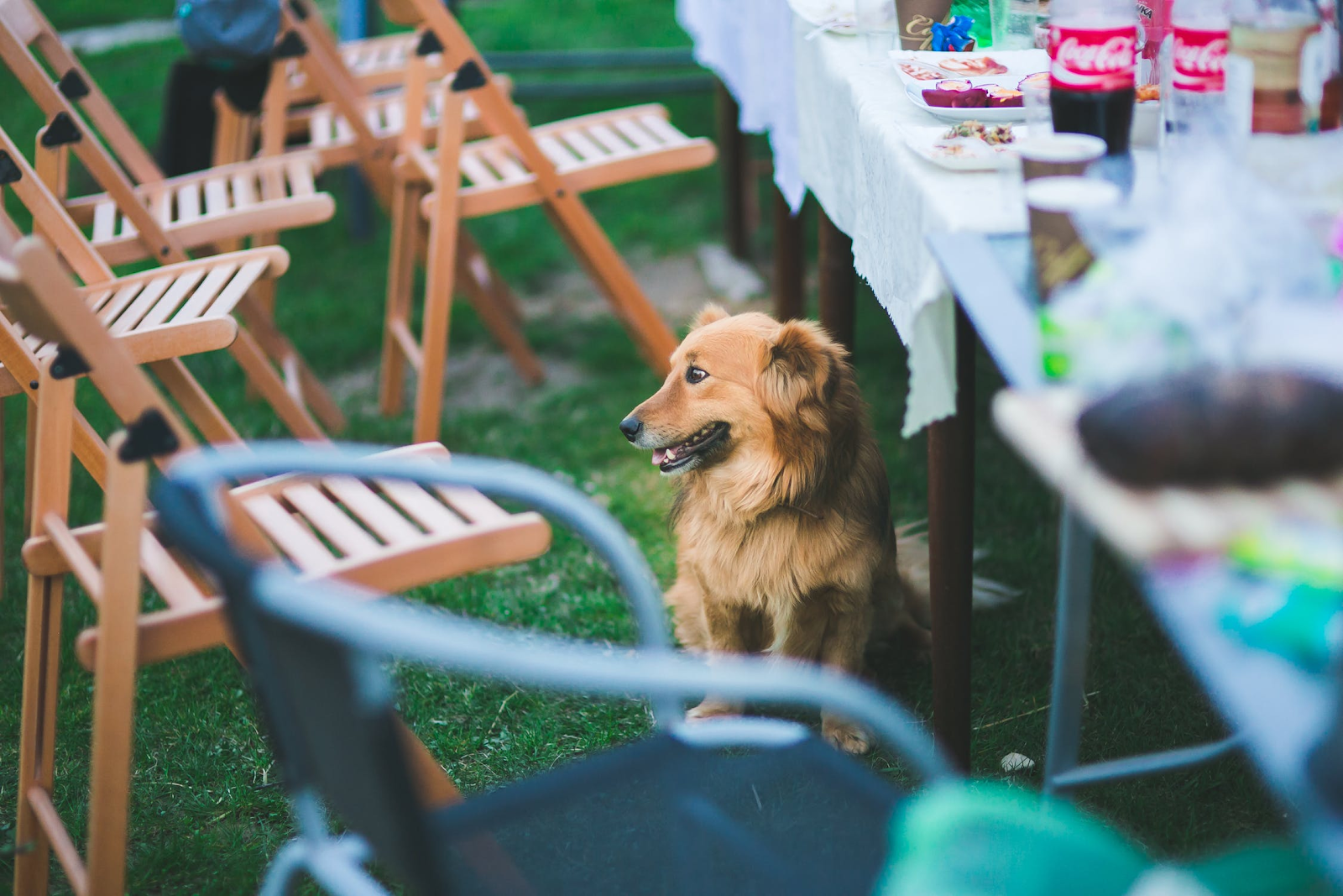 3 Barbecue tips voor het perfecte tuinfeestje