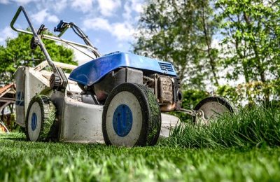 Het belang van onderhoud in de schoonheid van de tuin