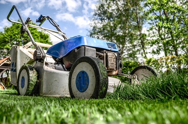 Het belang van onderhoud in de schoonheid van de tuin