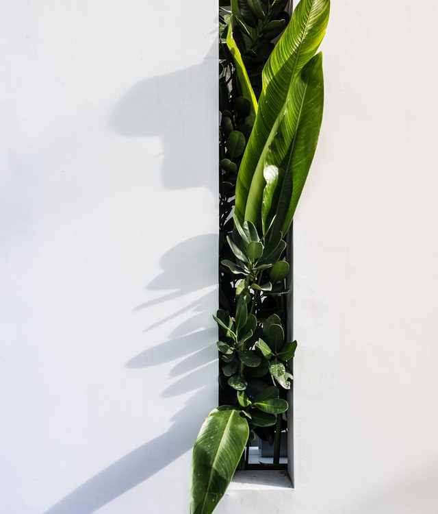 Leuke tuin projecten voor de zomer Leuke tuin projecten voor de zomer