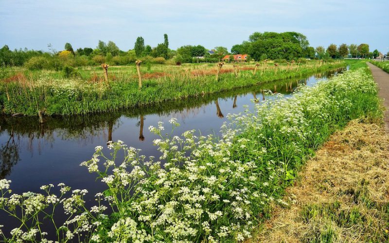 Vijf leuke woonplaatsen in Noord-Holland