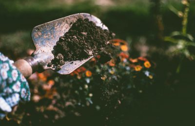 Laat uw tuin bloeien als voorheen met behulp van een hovenier