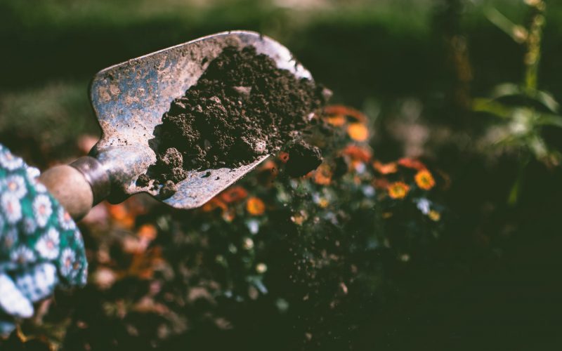 Laat uw tuin bloeien als voorheen met behulp van een hovenier