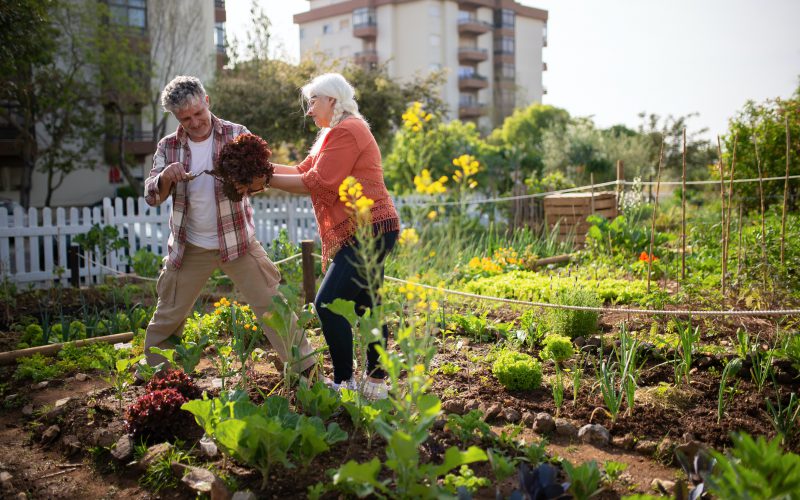 Tips voor als je een moestuin hebt